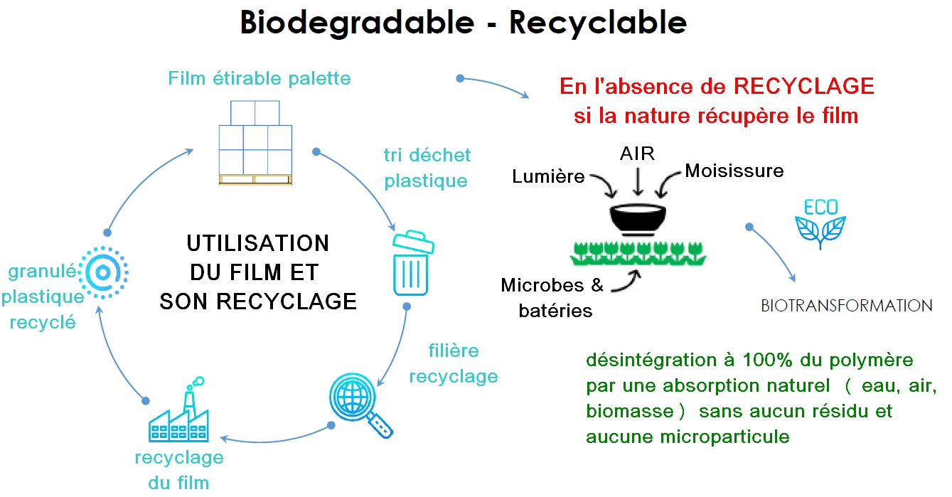 Film étirable manuel cast transparent 80% recyclé RAJA ecologique