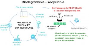 FILM ÉTIRABLE BIODÉGRADABLE MACHINE